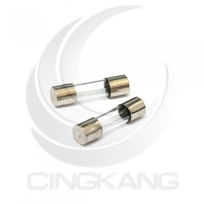 20mm 6A 250V 玻璃保險絲 鐵頭 (100PCS/盒)