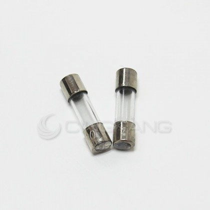 20mm 0.2A 250V 玻璃保險絲 銅頭(2入)