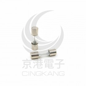 20mm  9A 250V 玻璃保險絲 鐵頭(100入)