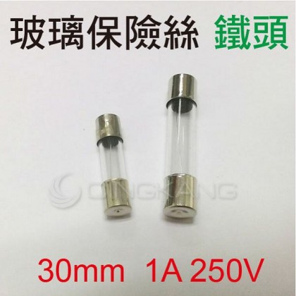 30mm 1A 250V 玻璃保險絲 鐵頭(10入)