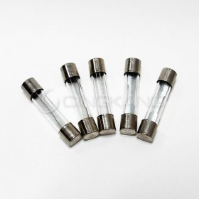 30mm 30A 250V 玻璃保險絲 鐵頭 (100PCS/盒)