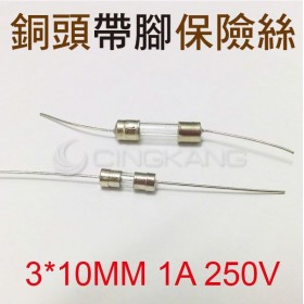 3*10MM 1A 250V 銅頭帶腳保險絲 (10入)