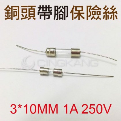 3*10MM 1A 250V 銅頭帶腳保險絲 (10入)