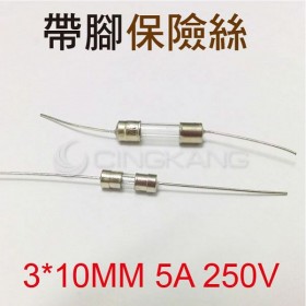 3*10MM 5A 250V 帶腳保險絲 (10入)