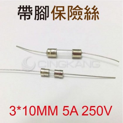 3*10MM 5A 250V 帶腳保險絲 (10入)