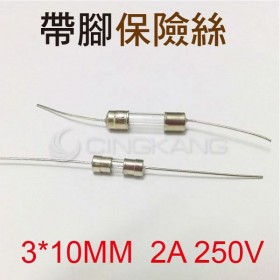 3*10MM  2A 250V 帶腳保險絲(10入)