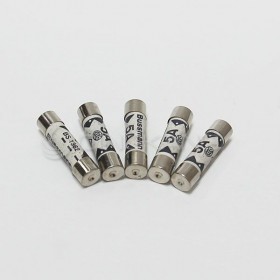 25mm 5A 250V 陶瓷保險絲 鐵頭 (5入)