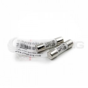 CT-10G04 陶瓷保險絲 10*38mm 4A/500V  (2PCS/包)