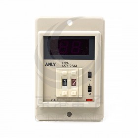 ANLY ASY-2SM AC220V 指撥數字埋入型 多段 0.1S-99M