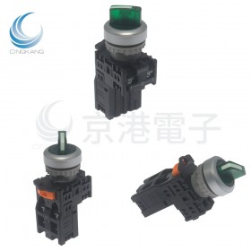 TN2 防水 直照選擇開關2段 220V 綠色 1A1B ψ22 TN2IS22G-N1C
