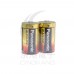 國際牌鹼性電池 1號2入 LRD20-D