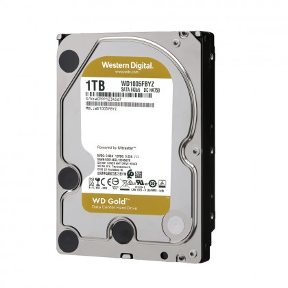 WD1005FBYZ WD金標 1TB 3.5吋企業級硬碟