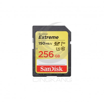 SanDisk EX SD 256GB 150MB/s