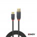 LINDY 林帝 36912_AANTHRA系列USB 3.2 GEN 2 TYPE-C/公 TO TYPE-A/公 傳輸線+PD智能電流晶片 1.5M