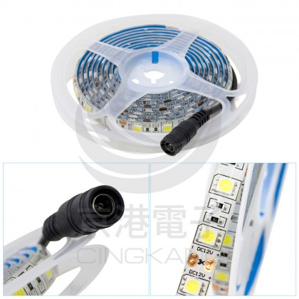 5050 LED白底扁條燈 2米 (白光) 12V+DC線