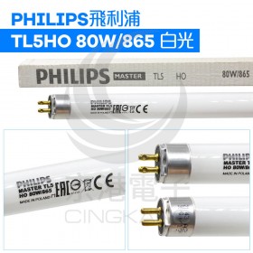 PHILIPS飛利浦 TL5HO 80W/865 白光