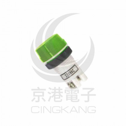 超大型霓虹燈-綠 220V 牙22mm