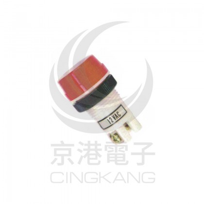 超大型霓虹燈-紅 12V 牙22mm