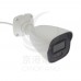 T057WL 2.8mm 2MP IP CAMERA POE 供電