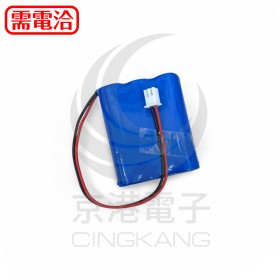 鎳鎘充電電池700MAH*3顆 (含13號接頭)