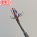 UL2464 雙隔離電纜 20AWG*3C 100M/捲 灰(芯線：紅白黑)