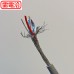 UL2464 雙隔離電纜 20AWG*3C 100M/捲 灰(芯線：紅白黑)