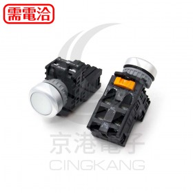 TN2直照平頭LED24V 白色 1A1B