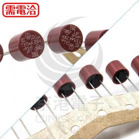 315mA 250V 圓柱保險絲/管 (5PCS/入)