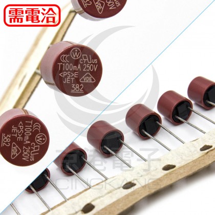 100mA 250V 圓柱保險絲/管 (5PCS/入)