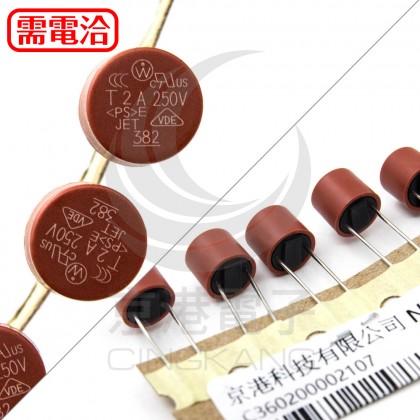 2A 250V 圓柱保險絲/管 (5PCS/入)