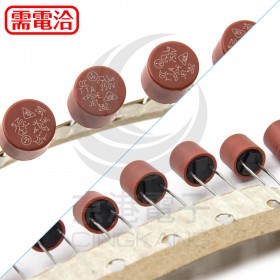 1A 250V 圓柱保險絲/管 (5PCS/入)