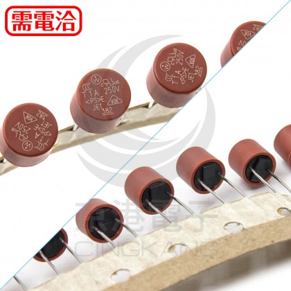 1A 250V 圓柱保險絲/管 (5PCS/入)