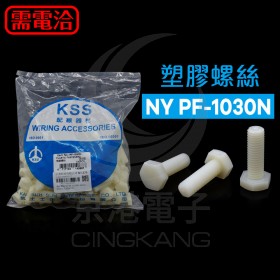 塑膠螺絲 NY PF-1030N 30mm M10*1.5(100PCS)