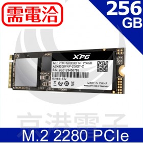 ADATA威剛 XPG SX8200Pro 256G M.2 2280 PCIe SSD固態硬碟