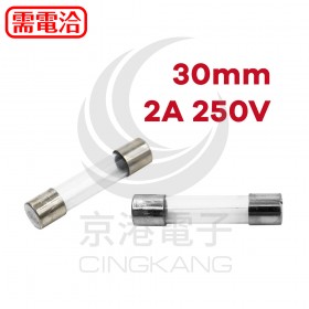 30mm 2A 250V 玻璃保險絲 快熔型(100入)