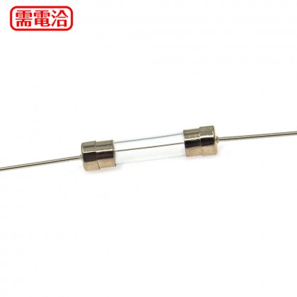 6*30MM 15A 250V 銅頭帶腳玻璃保險絲(2入)