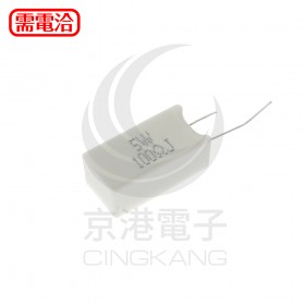 陶瓷水泥電阻 立式 5W 100Ω (10PCS/包)