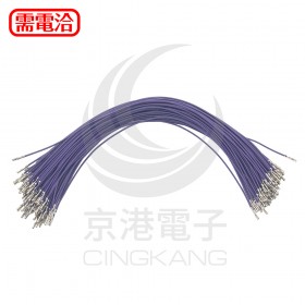 杜邦端子線 26AWG 雙頭 25cm-紫 (1束/100條)