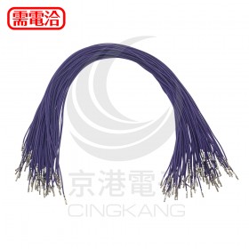 杜邦端子線 26AWG 雙頭 45cm-紫 (1束/100條)
