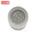 E12 LED 110V 白色 多點式 高亮度 2芯