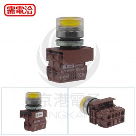 RENY R2PIF1A7IY 22φ平頭護圈 復歸 1A 鎢絲燈24V