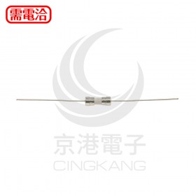10mm 一字型陶瓷保險絲 慢熔 3A250V (2入)