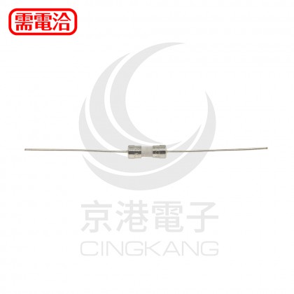 10mm 一字型陶瓷保險絲 慢熔 3A250V (2入)