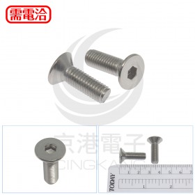 不鏽鋼平頭內六角螺絲 M8*25 (10pcs/包)
