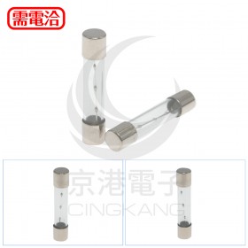 30mm 10A 250V 玻璃保險絲 慢熔型(2入)