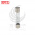 30mm 10A 250V 玻璃保險絲 慢熔型(2入)