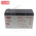 湯淺 YUASA NP7-12 12V 7.0AH 飛瑞/科風 /UPS專用電池 不斷電系統電池 大端