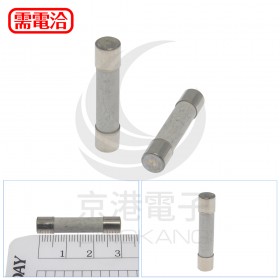 30mm 0.3A 250V 陶瓷保險絲管 鐵頭 (100入/盒)