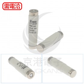E-16 CT-D130 磁質栓型保險絲 30A 500V