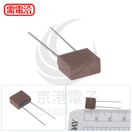 392慢熔方形保險絲 250V 2A (2PCS/包)